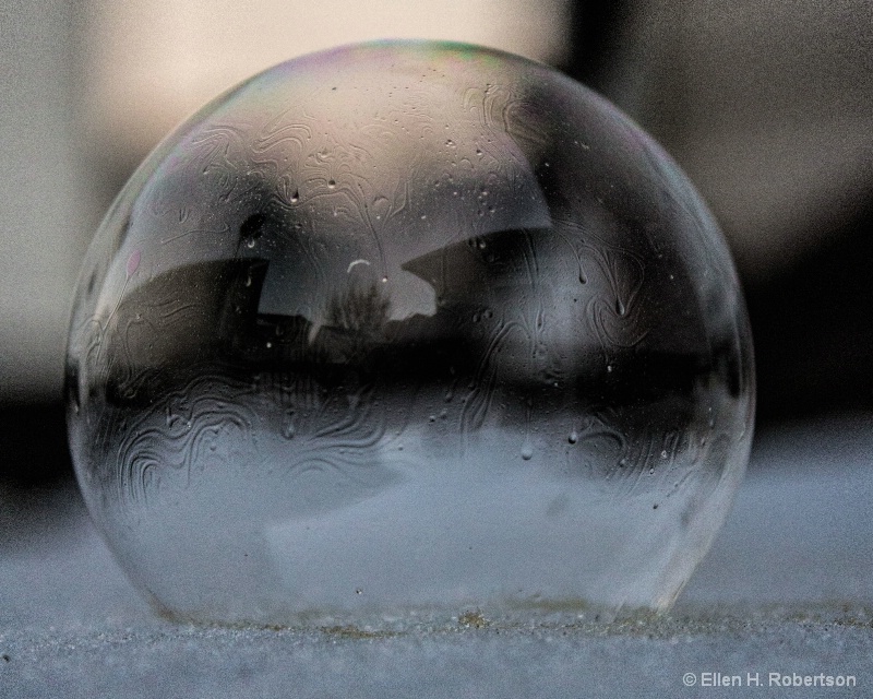 winter bubble