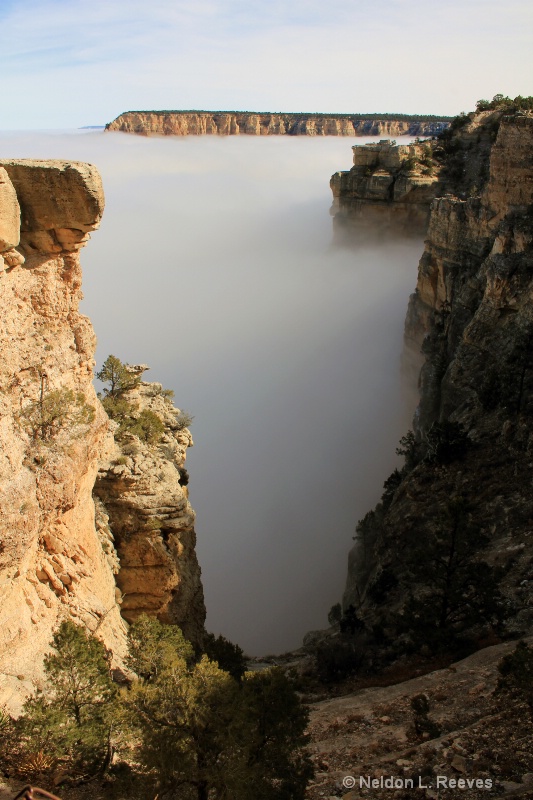 Fog Filled Grand Canyon