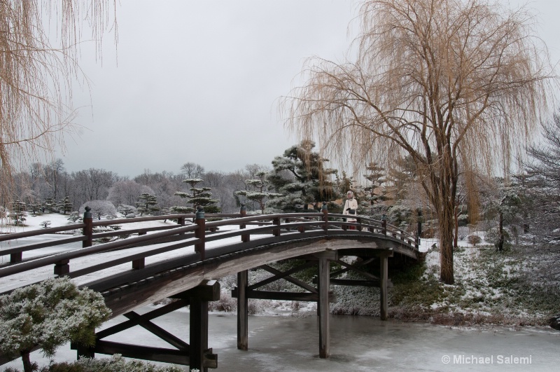 Japanese Garden Bridge - ID: 14344406 © Michael K. Salemi