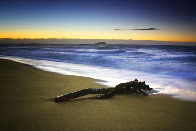 Coffs Morn