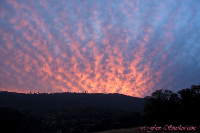 Bear Valley Sunrise 2 - ID: 14345591 © Fax Sinclair