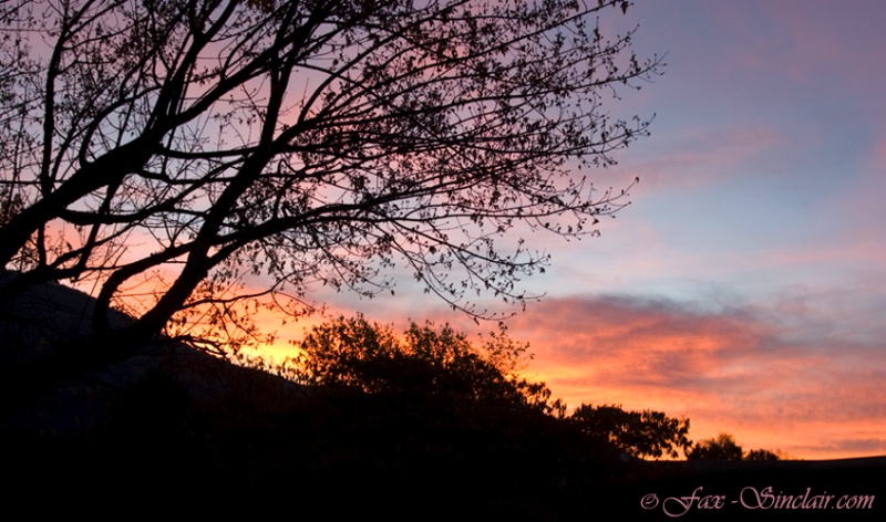 Bear Valley Sunrise - ID: 14345594 © Fax Sinclair