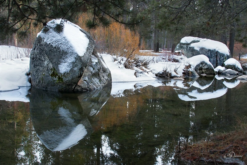 Reflection On Winter