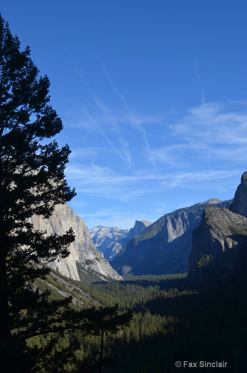 Halfdome with Tree & Clouds - ID: 14346321 © Fax Sinclair