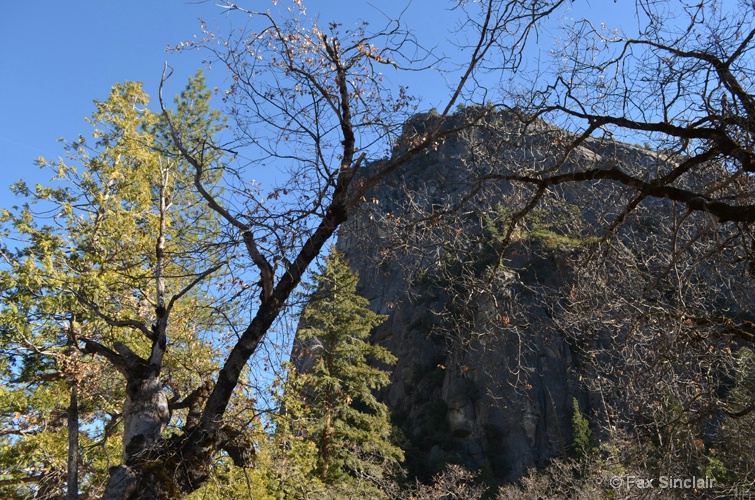 Tree Framed Mountain - ID: 14346327 © Fax Sinclair