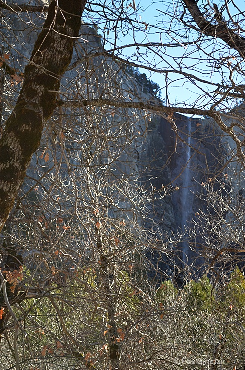 Tree Framed Falls - ID: 14346333 © Fax Sinclair