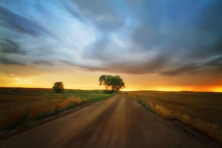 ~ THE ROAD ~