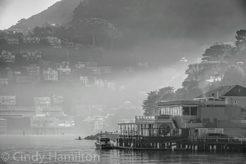 Sausalito in the Fog