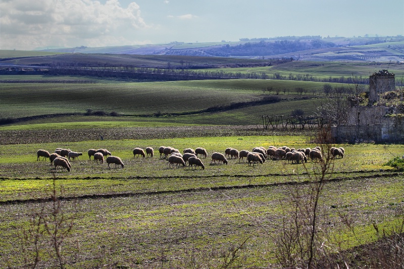 Parco Nazionale dell'Alta Murgia