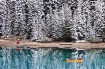 Early winter at L...