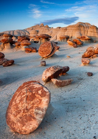 Mushrooms on the Rocks