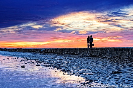 Cardiff Dog Beach