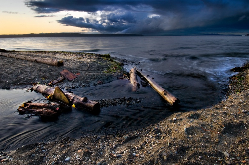 Random Driftwoood Beachscape