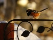 Just *S* Tweet