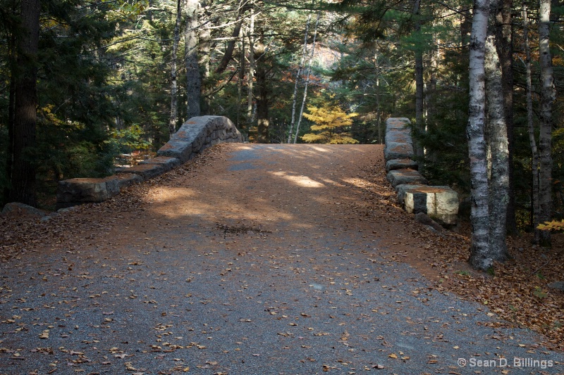 Acadia National Park, November 2013