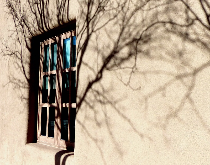 Tree Shadow Grows on Adobe Wall II