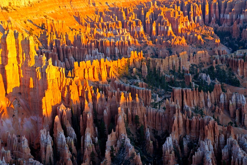 Bryce National Park