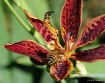 Nature At Its bes...