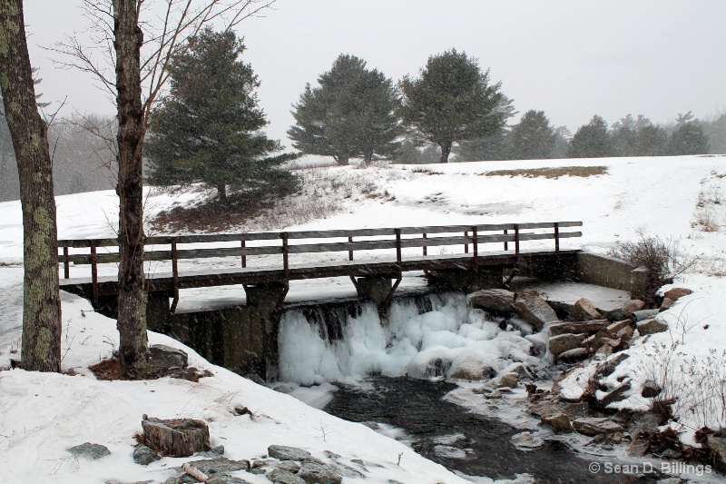Meadow Loop trail - ANP - January 2014 Maine