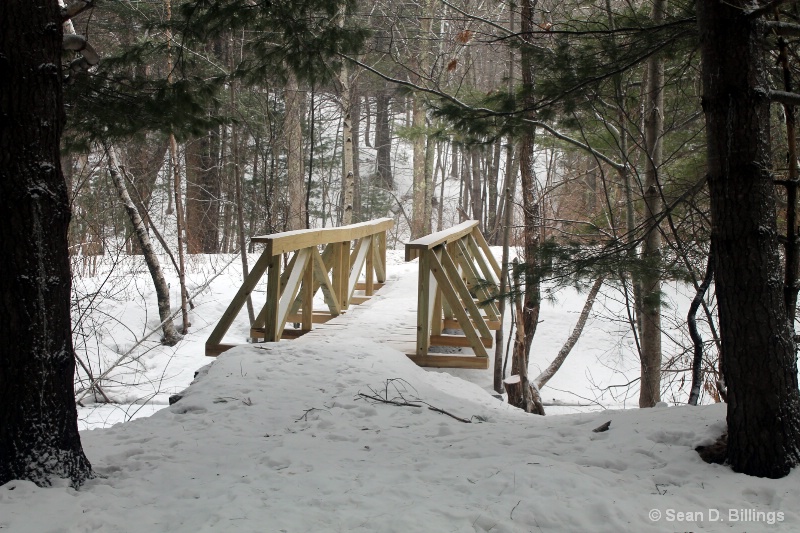 Meadow Loop trail - ANP - January 2014 Maine