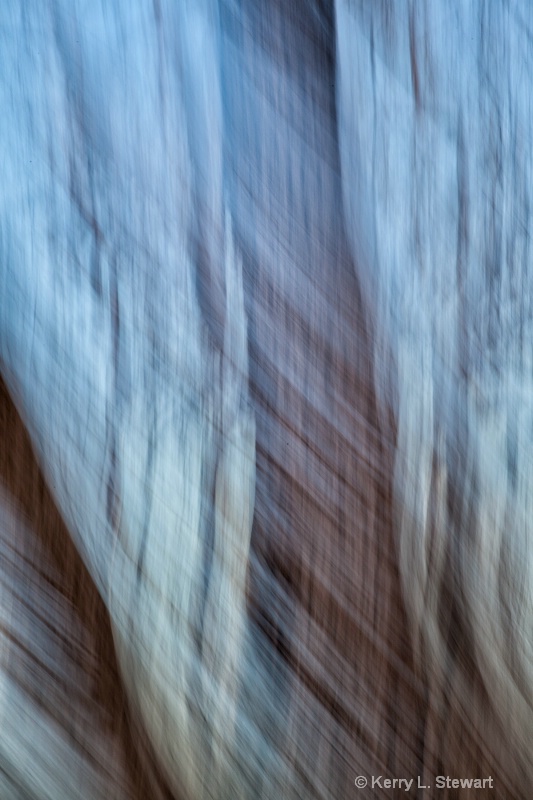 Blurred Mesquite Trees No.2