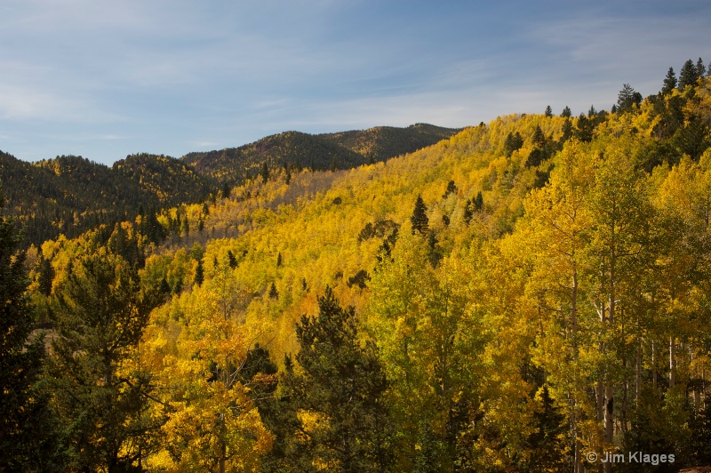 Fall Foliage Along Gold Camp Road - ID: 14352530 © Jim Klages