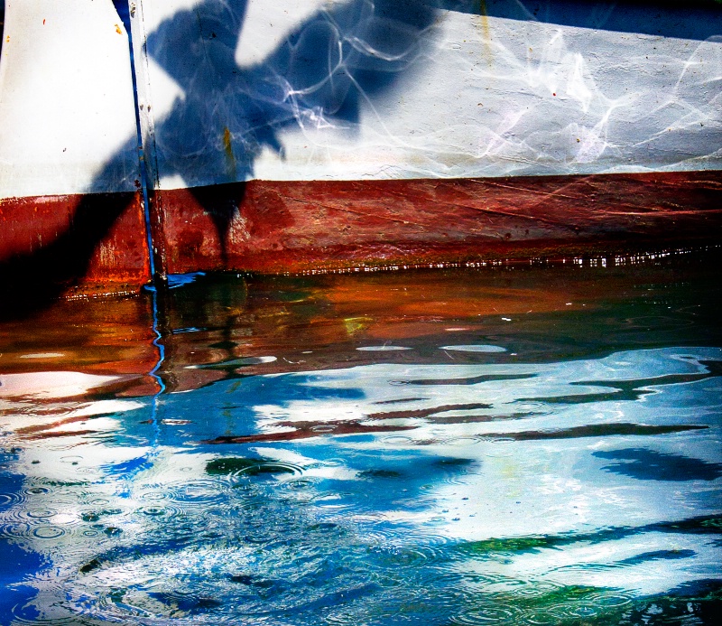 Nautical Reflections-Marseilles Gull