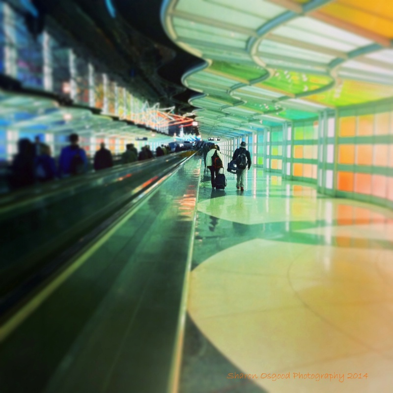 Two people in O'hare 