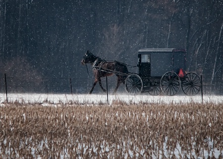 The Amish Way