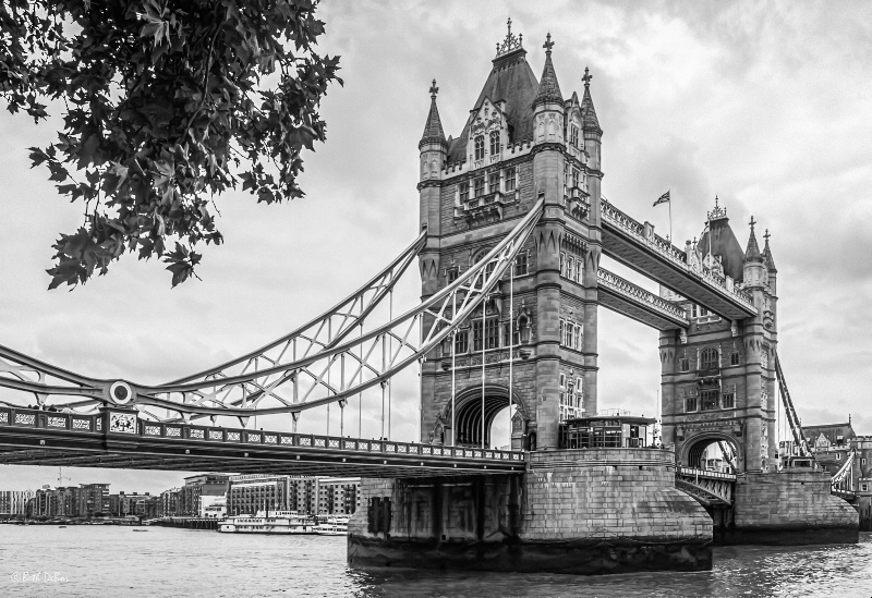 Tower Bridge, DD 1/20/14