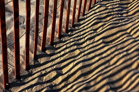 Shadows on the sand