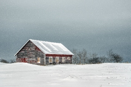 Cabin in Snowstorm 1