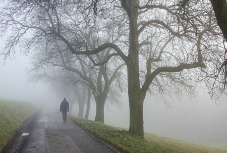 Walking Through  Fog