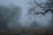 cemetary fog