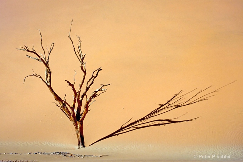 Shadow on dune, Namibia