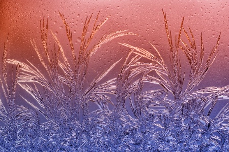 Window Frost