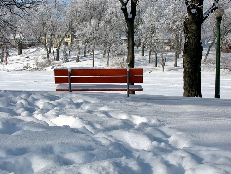 Orange Bench