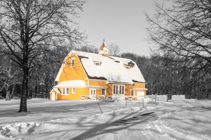 Butterscotch Barn