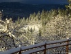 ***Snow in Shady ...