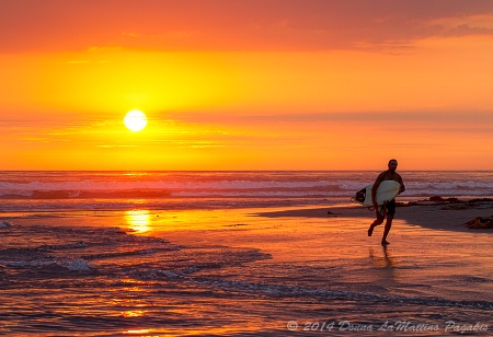 Magical Beach Light 