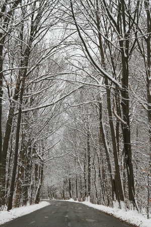 verticale winter wonderland