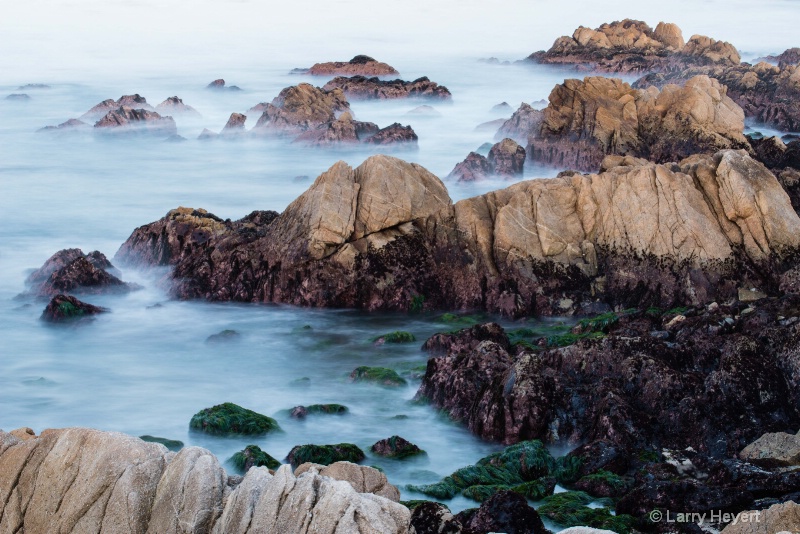 Early morning- Pacific Grove, CA