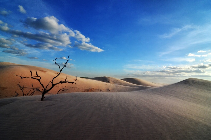 Isosog Sand Dunes