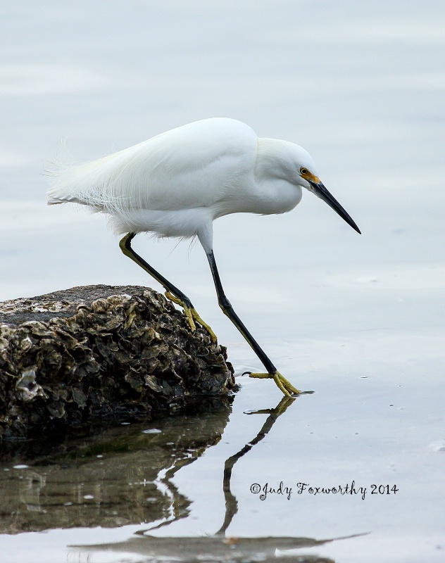 Stepping In The Water