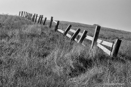 Crooked Fence on a Crooked Hill