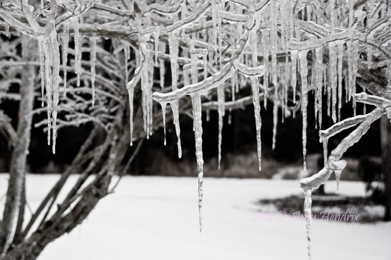 nothing says winter like icicles