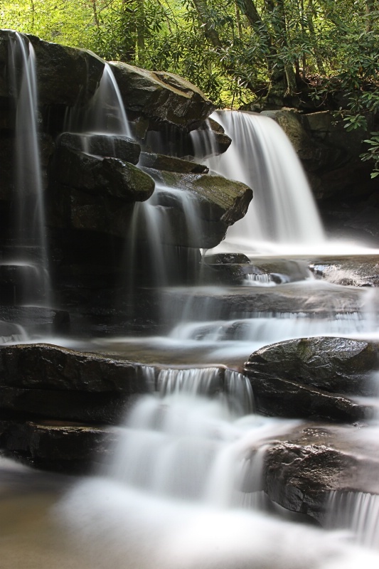 Jonathan Falls - ID: 14365158 © Tammy M. Anderson