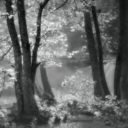 Mystic Moonlight At The Falls 