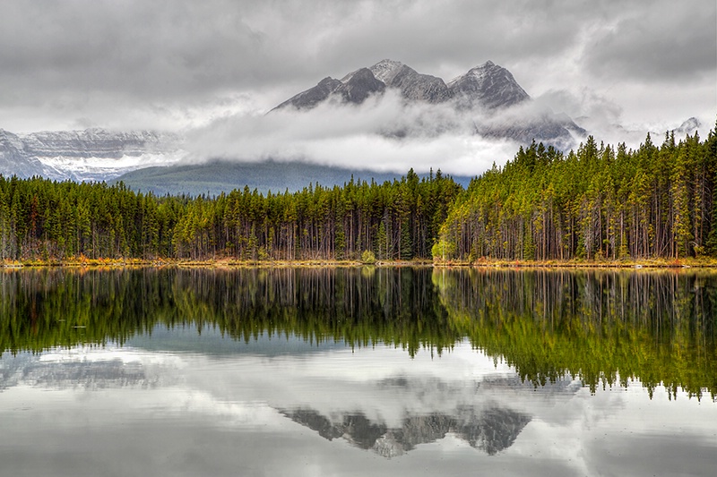 Herbert Lake