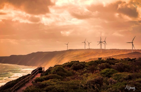 EVENING GLOW..at WINDFARM in Albany Western Austra